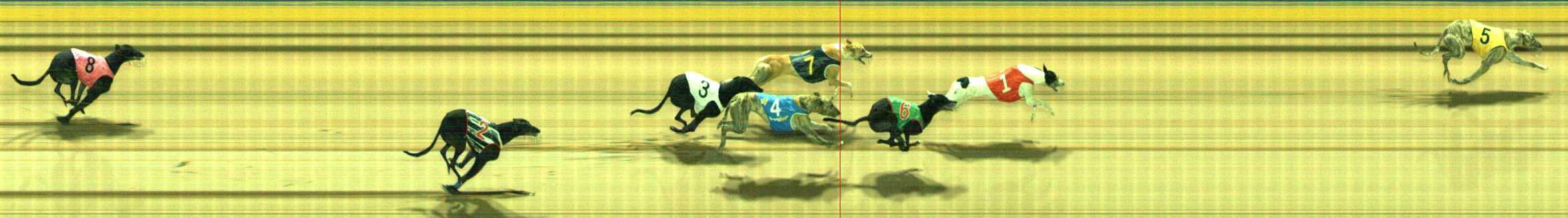 Photo finish for Traralgon Race 11