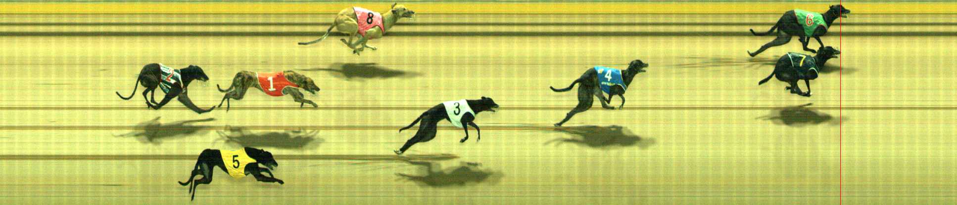 Photo finish for Traralgon Race 12