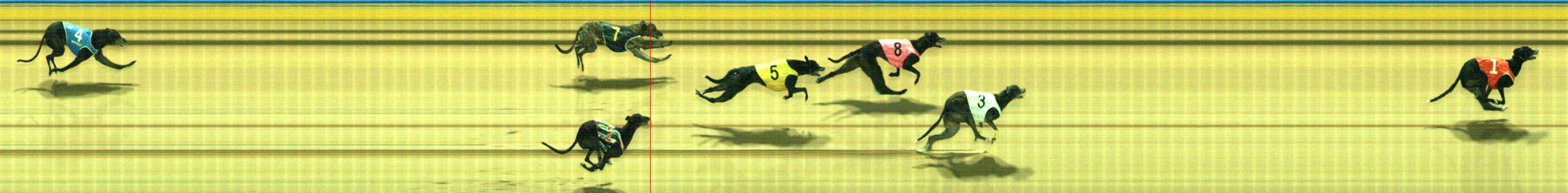 Photo finish for Traralgon Race 13