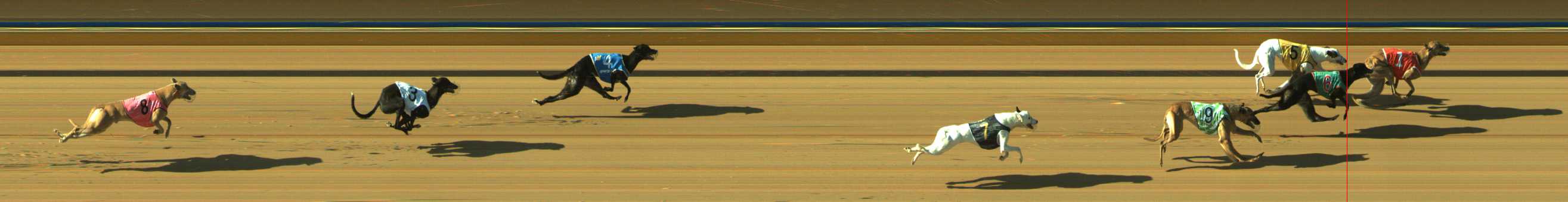 Photo finish for Traralgon Race 1