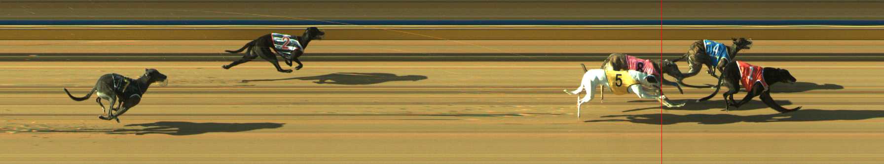 Photo finish for Traralgon Race 2