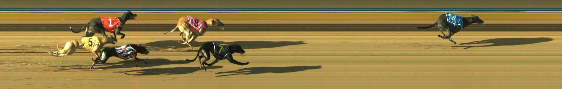 Photo finish for Traralgon Race 3