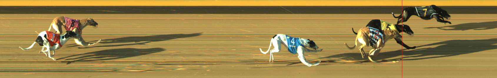 Photo finish for Traralgon Race 4