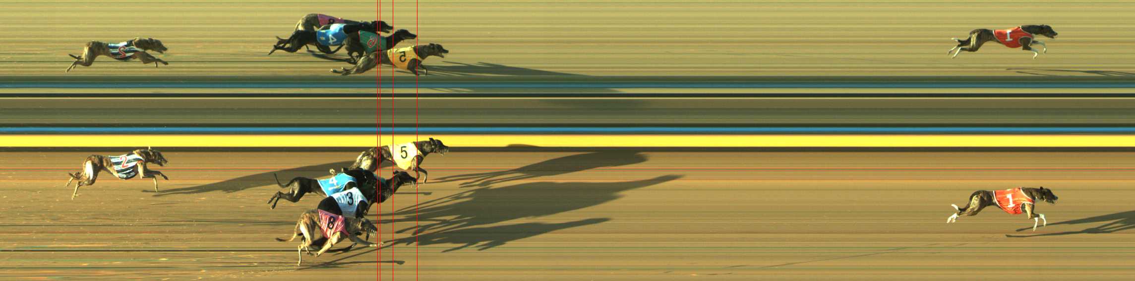 Photo finish for Traralgon Race 5