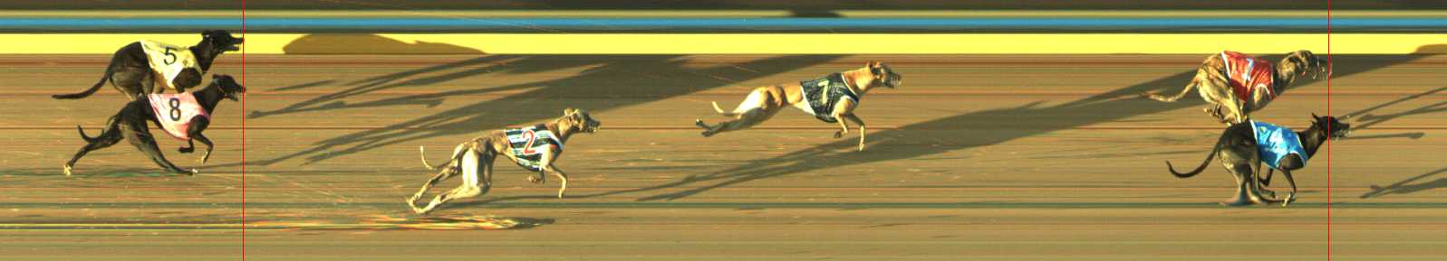Photo finish for Traralgon Race 6