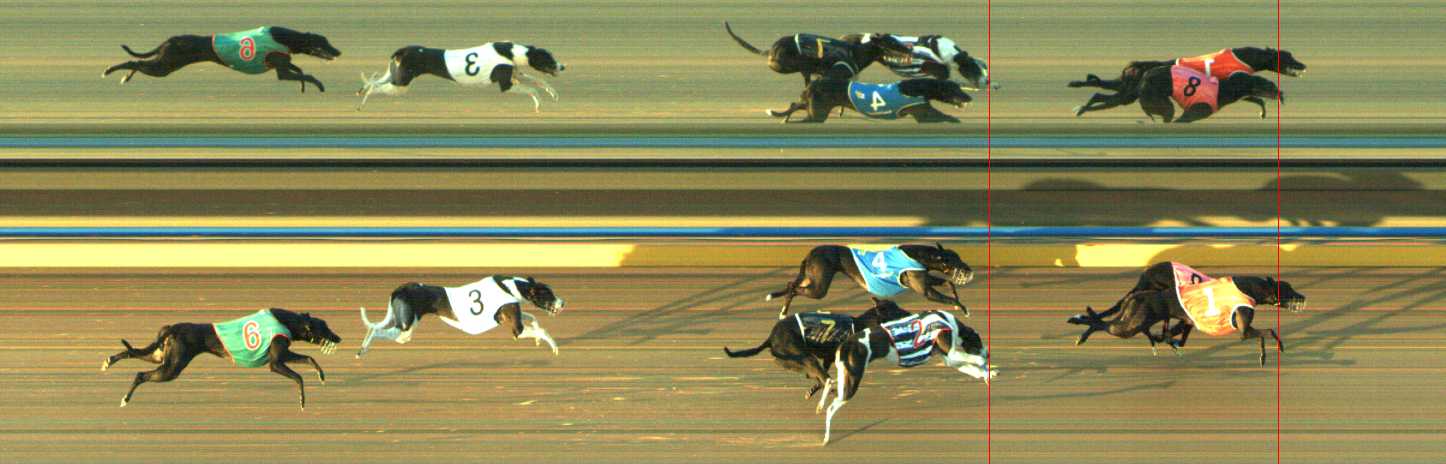Photo finish for Traralgon Race 7