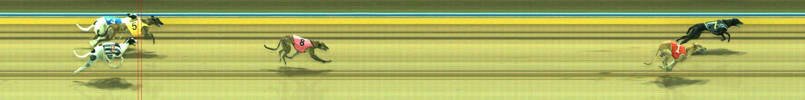 Photo finish for Traralgon Race 8