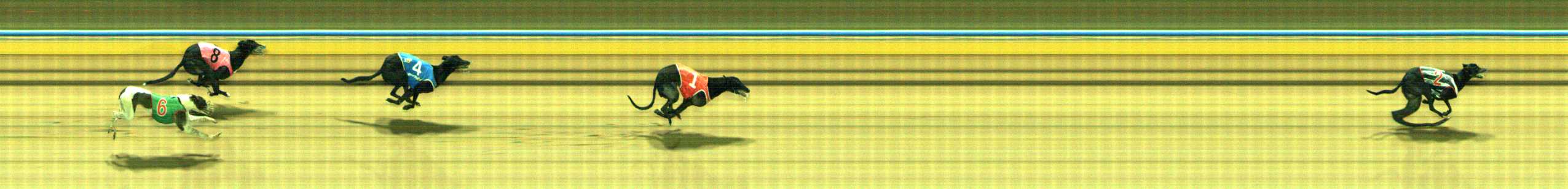 Photo finish for Traralgon Race 9