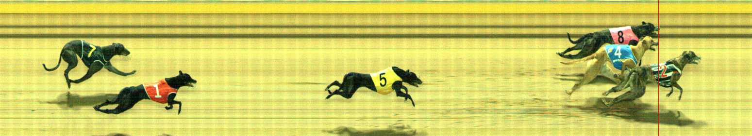Photo finish for Traralgon Race 10