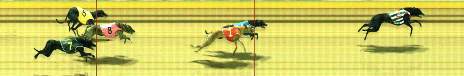 Photo finish for Traralgon Race 11