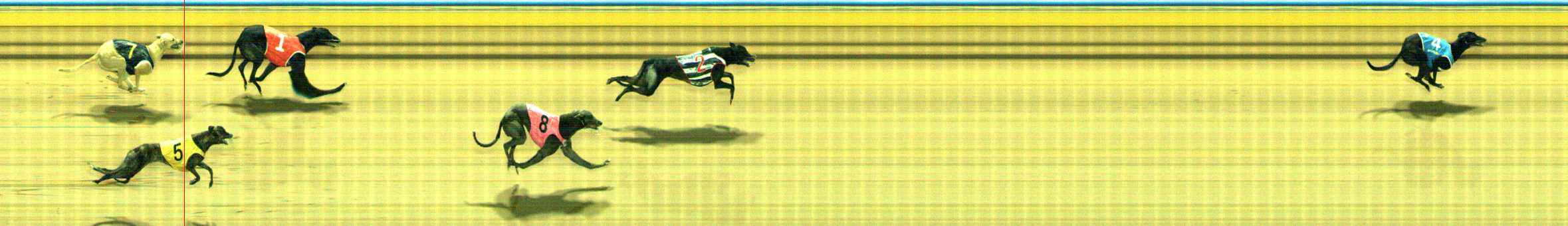 Photo finish for Traralgon Race 12