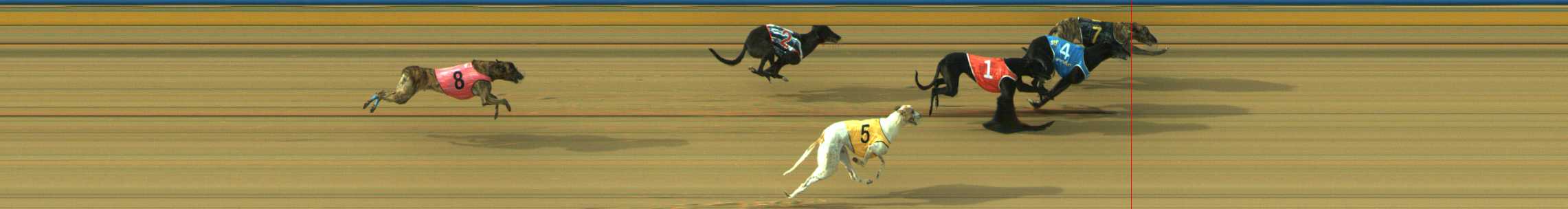Photo finish for Traralgon Race 1