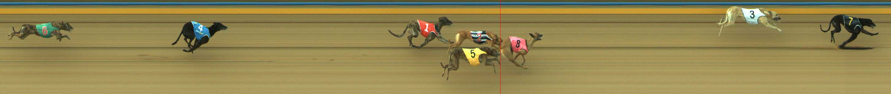 Photo finish for Traralgon Race 2