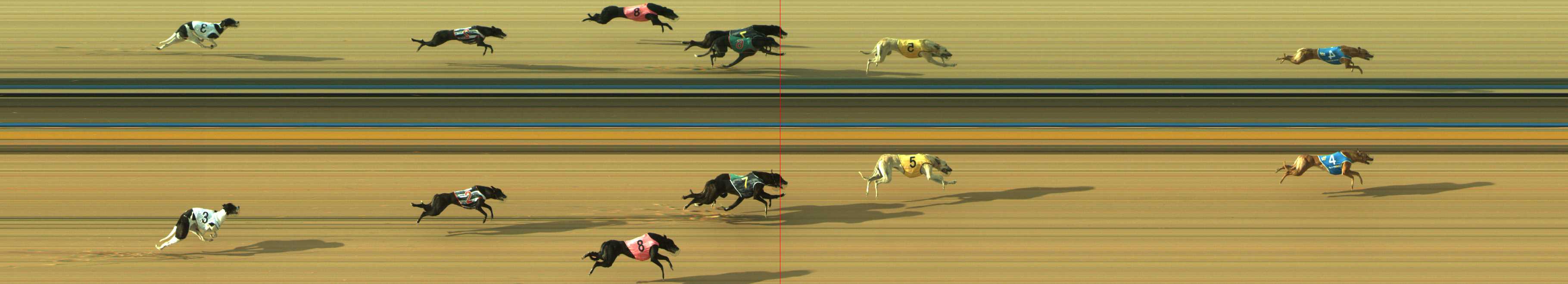 Photo finish for Traralgon Race 3