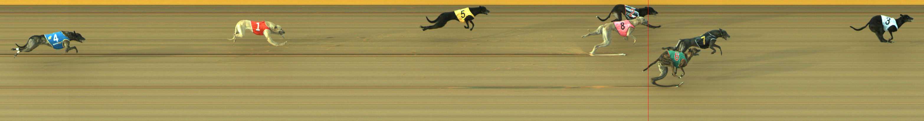 Photo finish for Traralgon Race 5