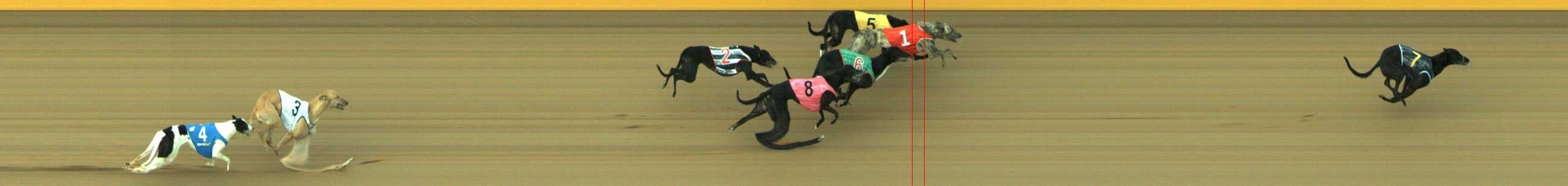 Photo finish for Traralgon Race 6
