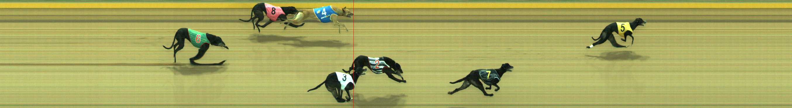 Photo finish for Traralgon Race 7