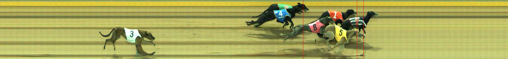 Photo finish for Traralgon Race 8