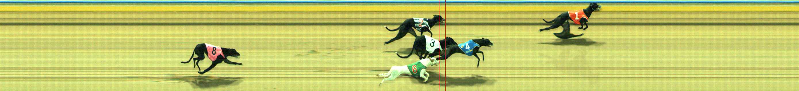 Photo finish for Traralgon Race 9