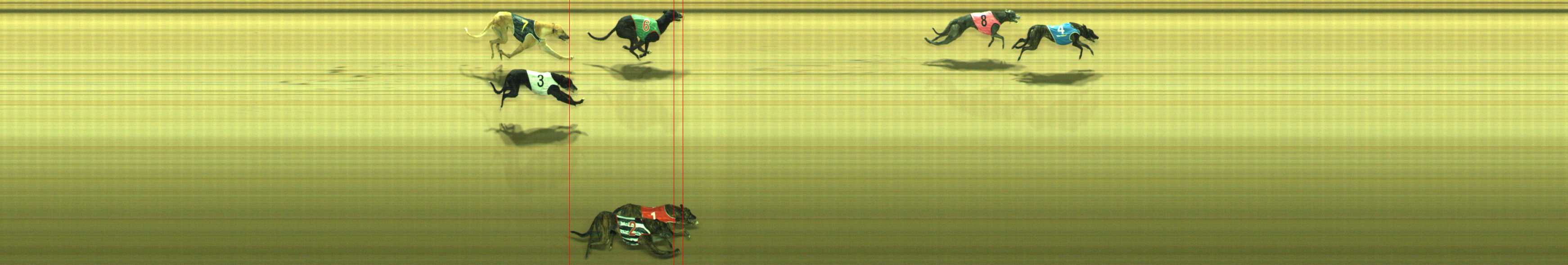 Photo finish for Traralgon Race 10