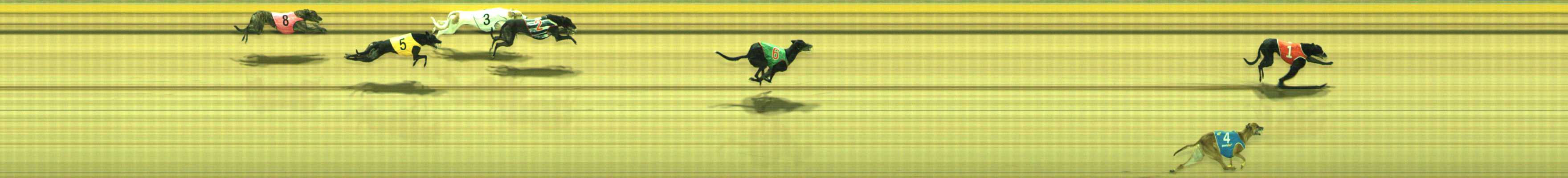 Photo finish for Traralgon Race 11