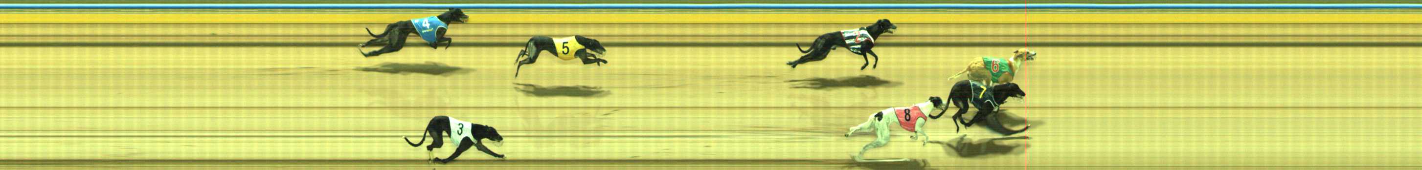 Photo finish for Traralgon Race 12