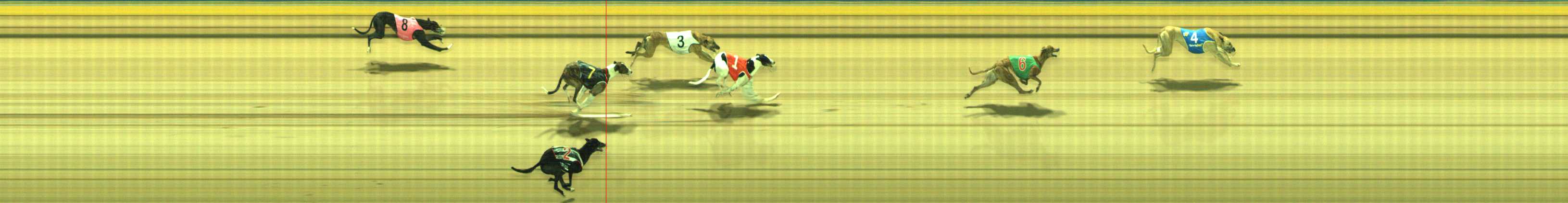 Photo finish for Traralgon Race 13