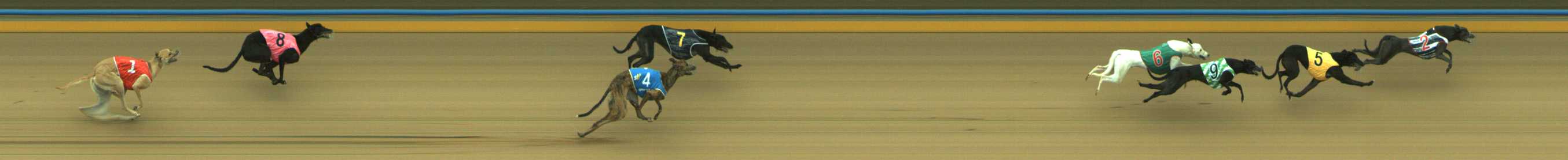 Photo finish for Traralgon Race 1