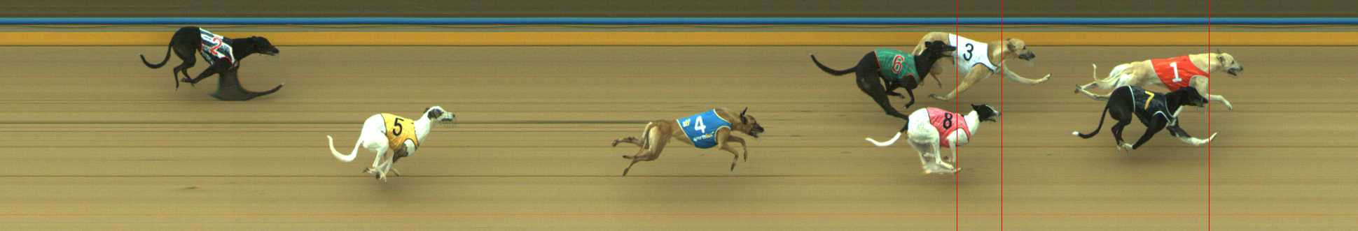 Photo finish for Traralgon Race 2