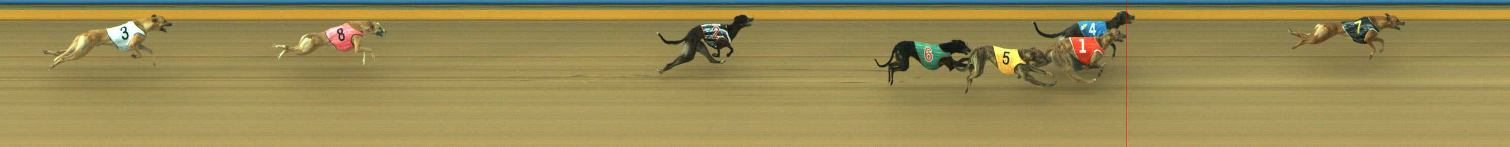 Photo finish for Traralgon Race 3