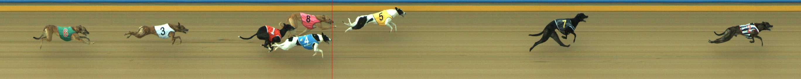 Photo finish for Traralgon Race 4