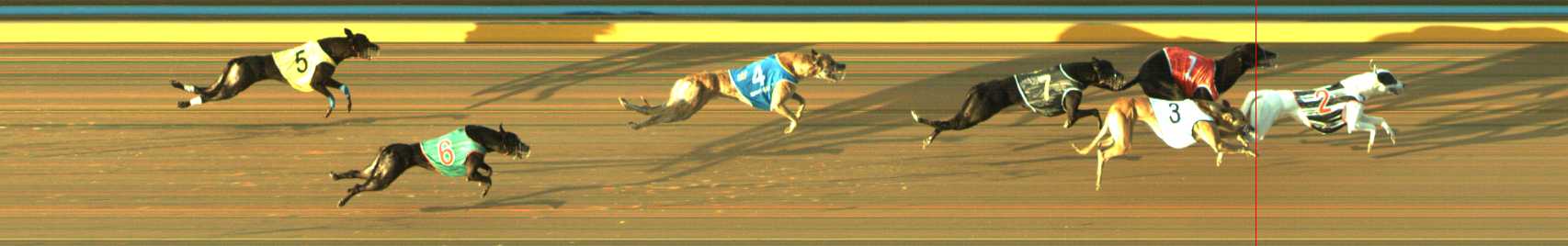 Photo finish for Traralgon Race 5