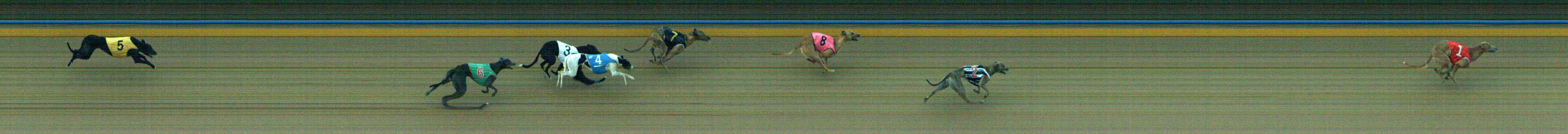 Photo finish for Traralgon Race 6