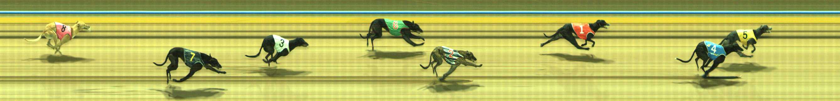 Photo finish for Traralgon Race 7