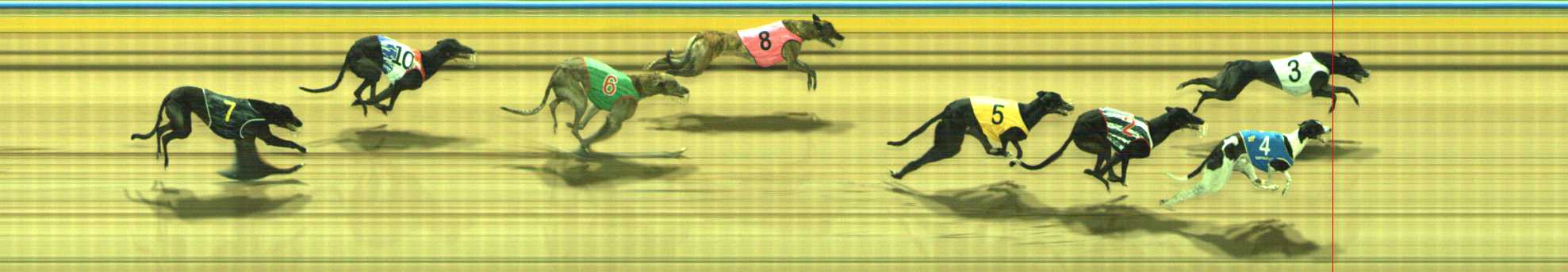 Photo finish for Traralgon Race 8