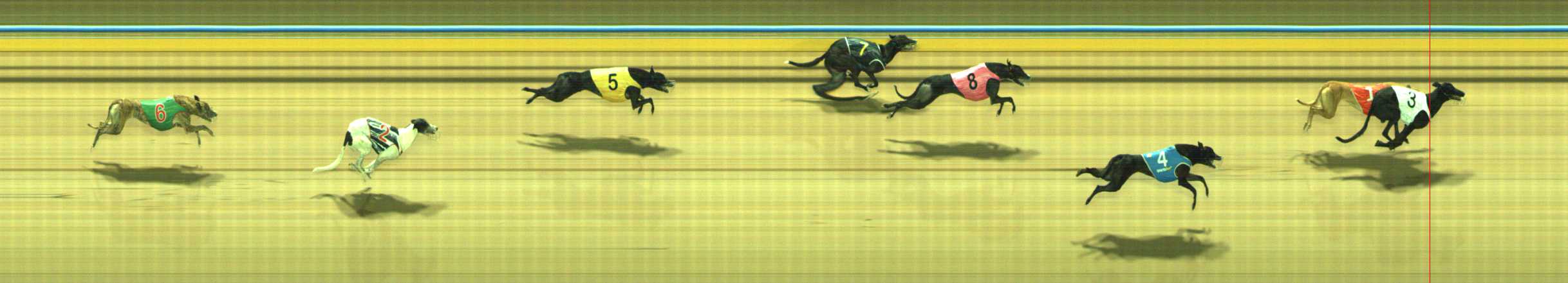 Photo finish for Traralgon Race 9