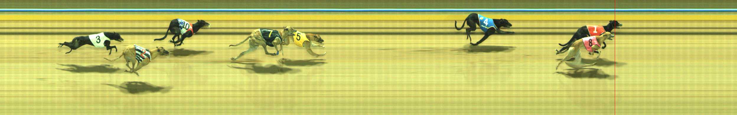 Photo finish for Traralgon Race 10
