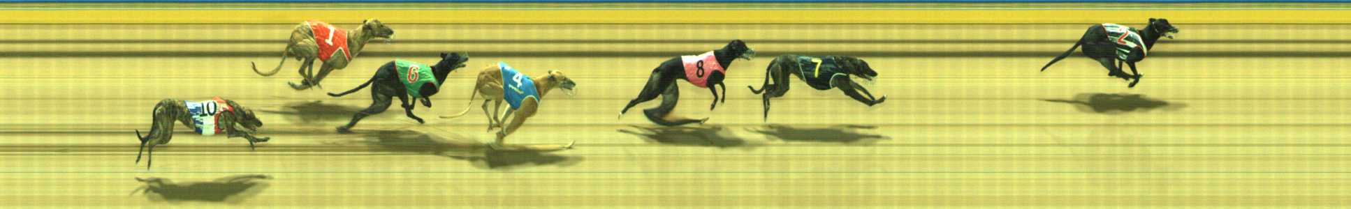 Photo finish for Traralgon Race 11