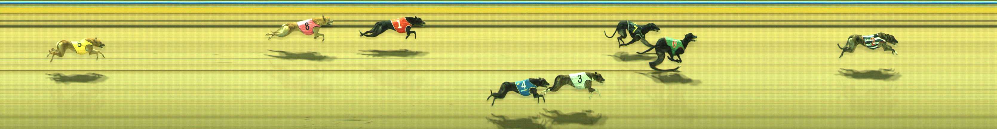 Photo finish for Traralgon Race 12