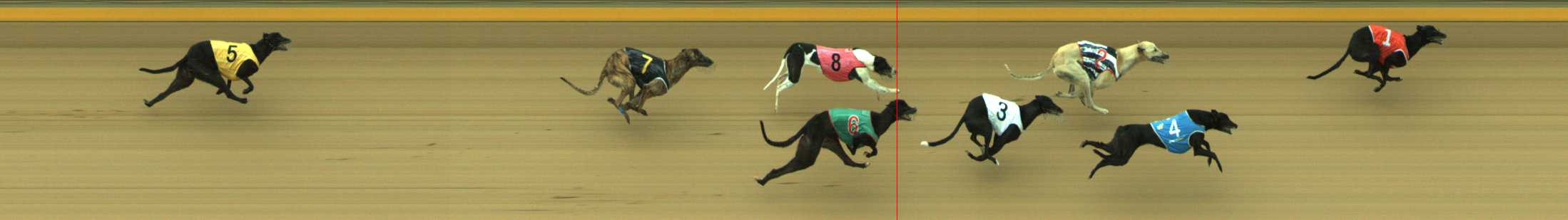 Photo finish for Traralgon Race 1