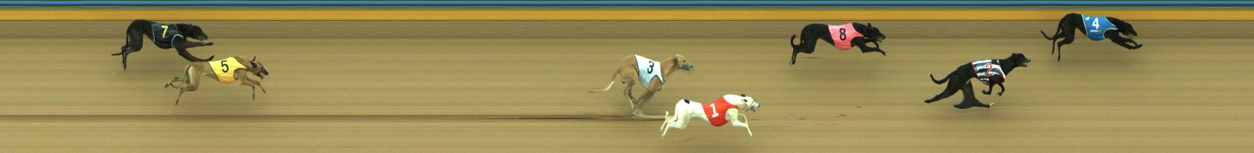 Photo finish for Traralgon Race 2