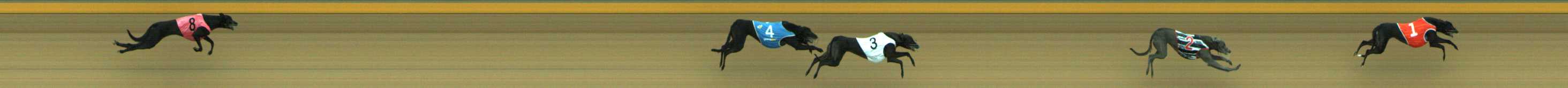 Photo finish for Traralgon Race 3