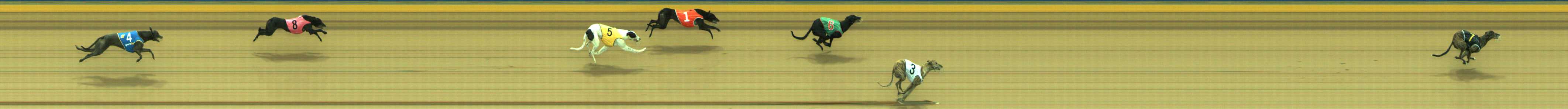 Photo finish for Traralgon Race 4