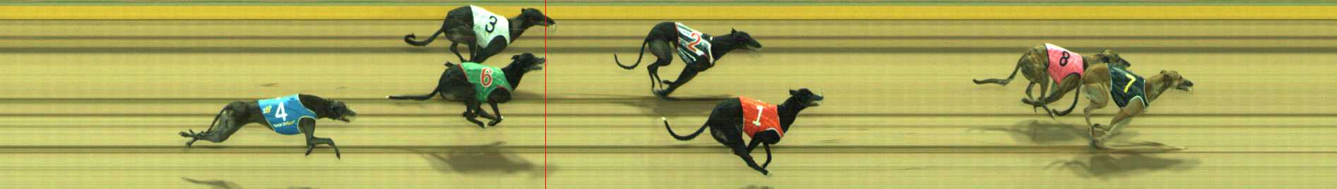 Photo finish for Traralgon Race 6