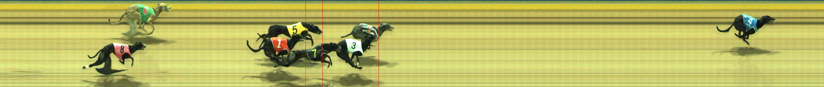 Photo finish for Traralgon Race 7