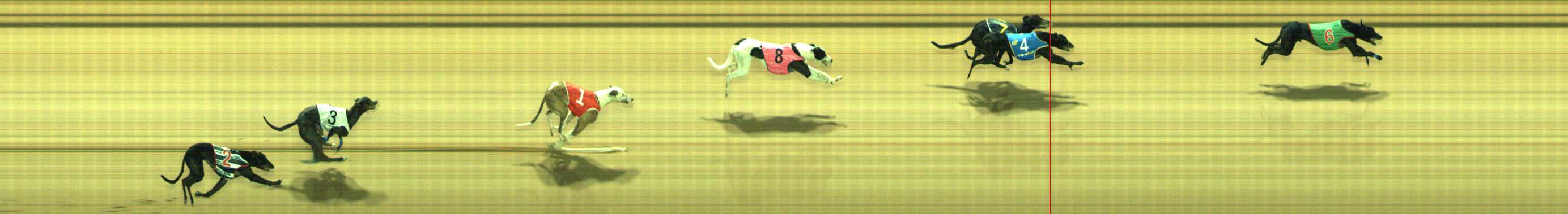 Photo finish for Traralgon Race 8