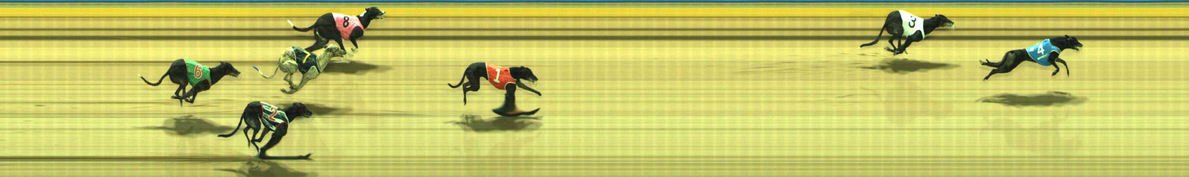 Photo finish for Traralgon Race 9