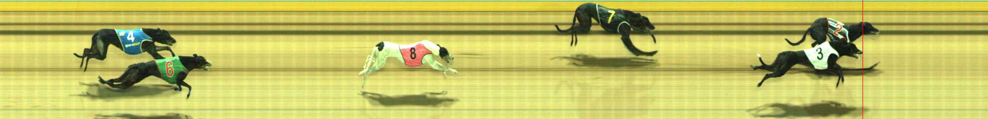 Photo finish for Traralgon Race 10