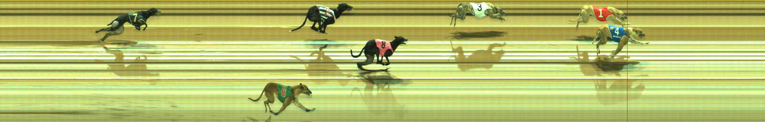 Photo finish for Traralgon Race 11