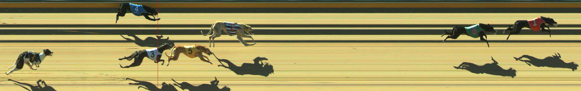 Photo finish for Traralgon Race 2